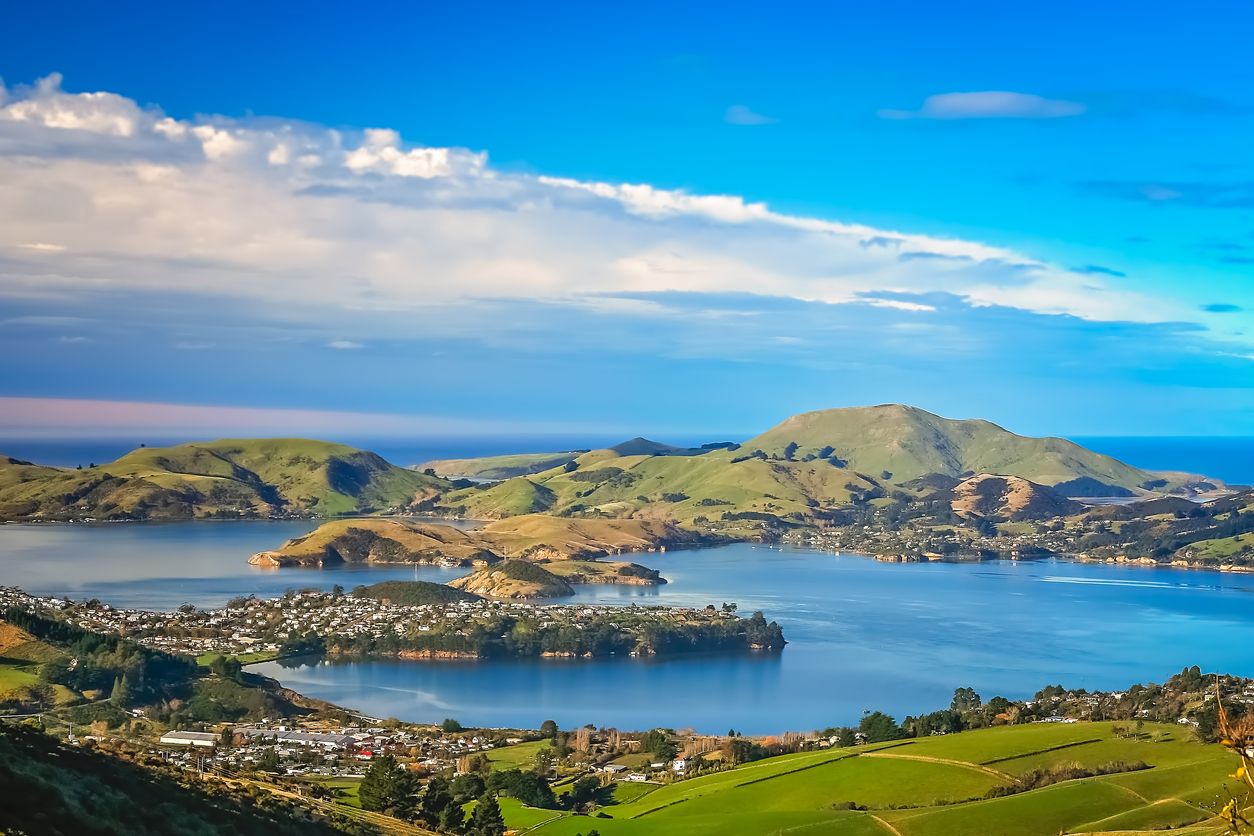 Rolling green farmland surrounds the blue Otago Harbour as it weaves through water side suburbs