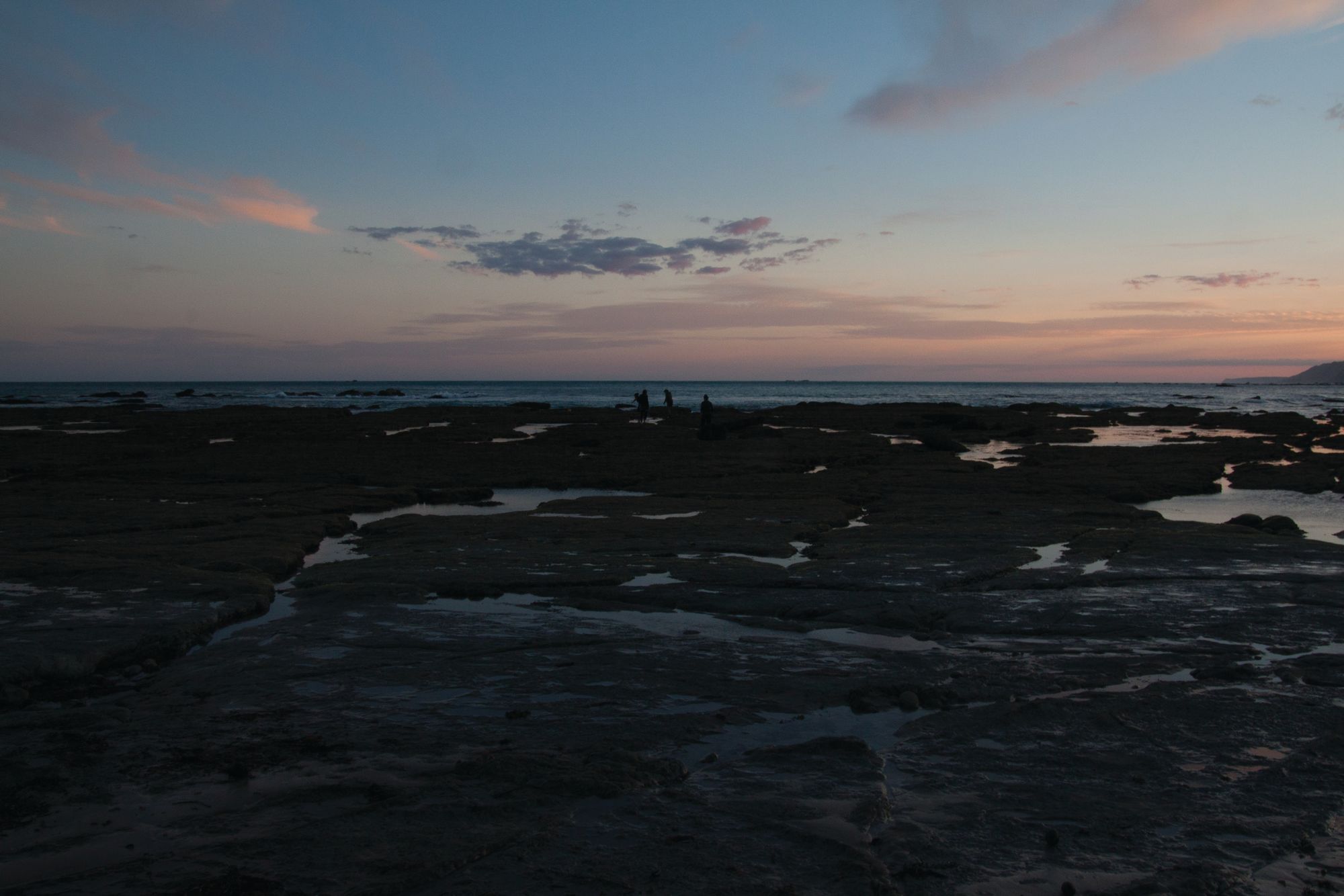 At dusk, coastal flats in the foreground, while in the middle distance, people at the sea edge in the middle distance look for shellfish